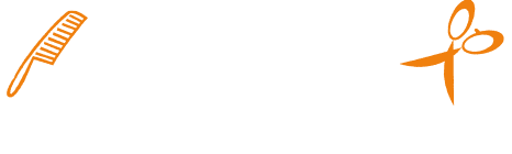 Logo Coiffure Élégance, coiffeur prothésiste à La Roche-sur-Yon